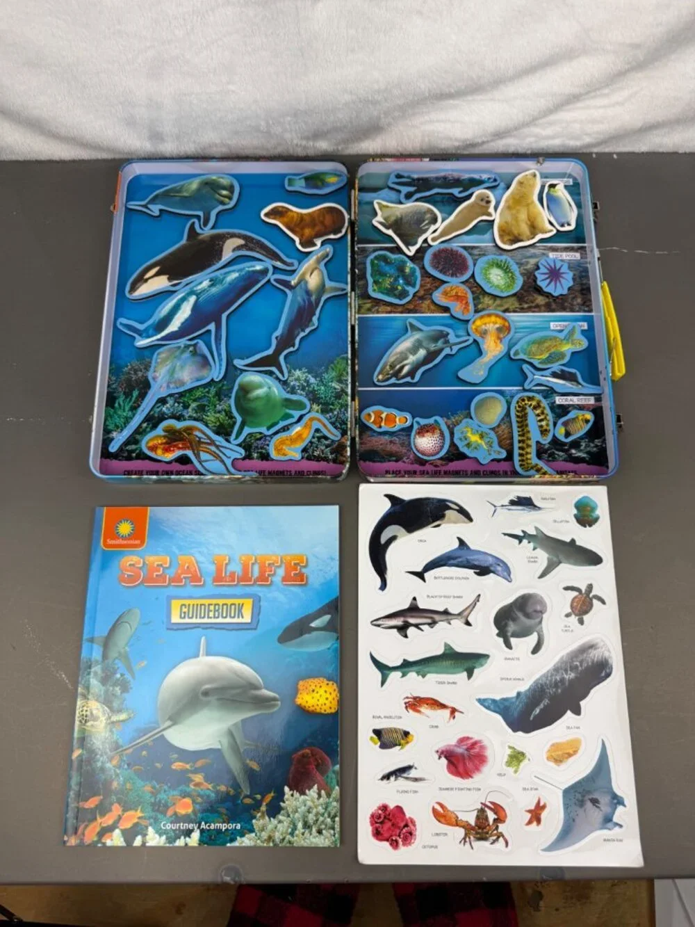 Smithsonian Magnetic Adventures Sea Life Set With Guidebook & Reusable Clings